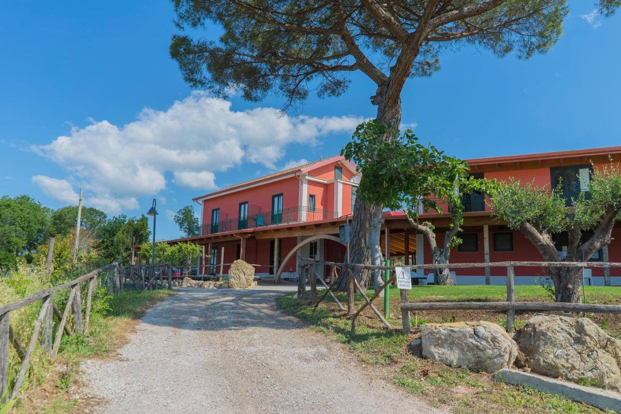 Bed and Breakfast Terra Di Vento Montecorvino Pugliano Экстерьер фото